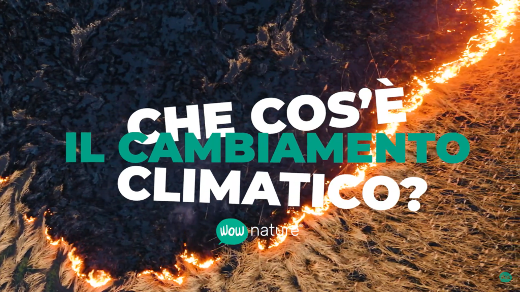 Che cos è il cambiamento climatico WOWnature