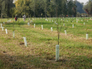 9Impianto di alberi WOWnature Parco del Serio - 7.10.23