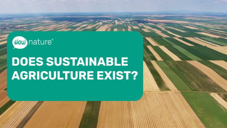 Does sustainable agriculture exist?