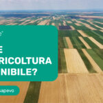 Esiste un'agricoltura sostenibile Agroforesta