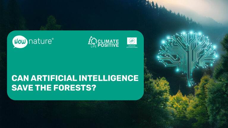 Can artificial intelligence save the forests?