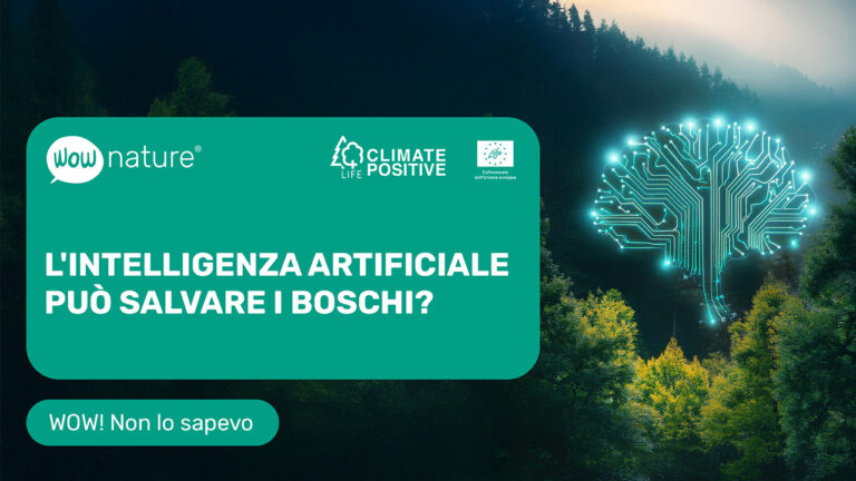 L'intelligenza artificiale può salvare i boschi?