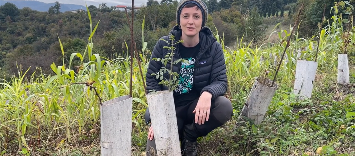 Aggiornamenti di WOWnature da Bosco delle Vigne