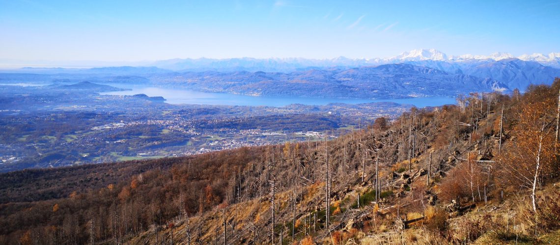 Parco Campo dei Fiori_pre-intervento_WOWnature