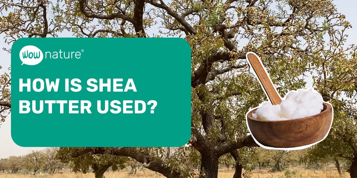 How is shea butter used?