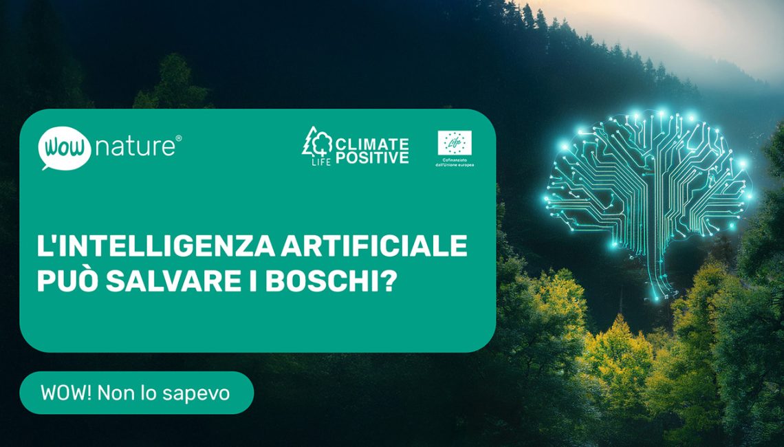 L'intelligenza artificiale può salvare i boschi?