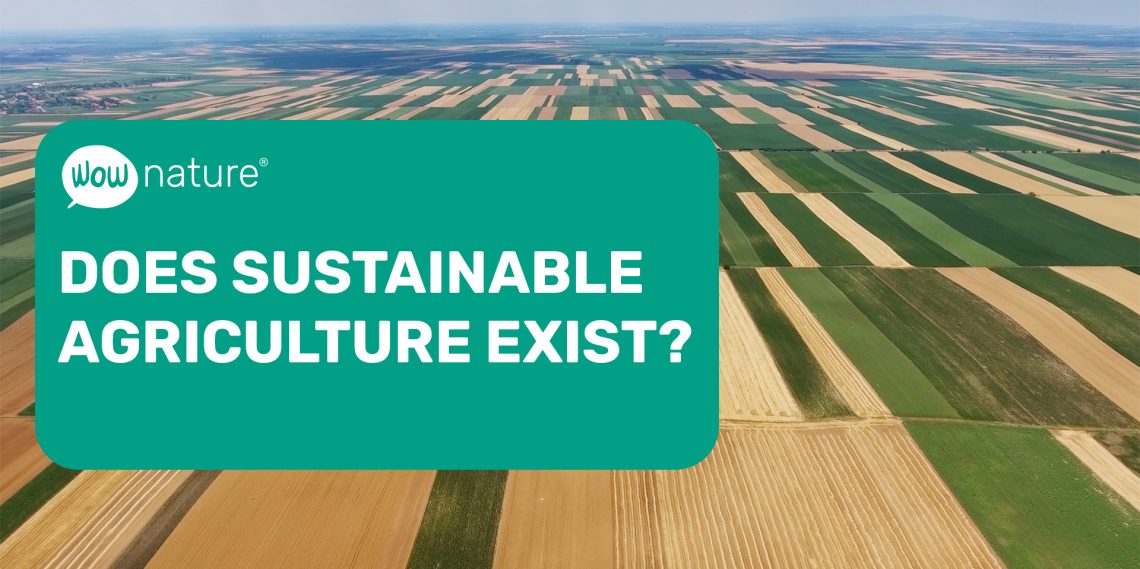 Does sustainable agriculture exist?