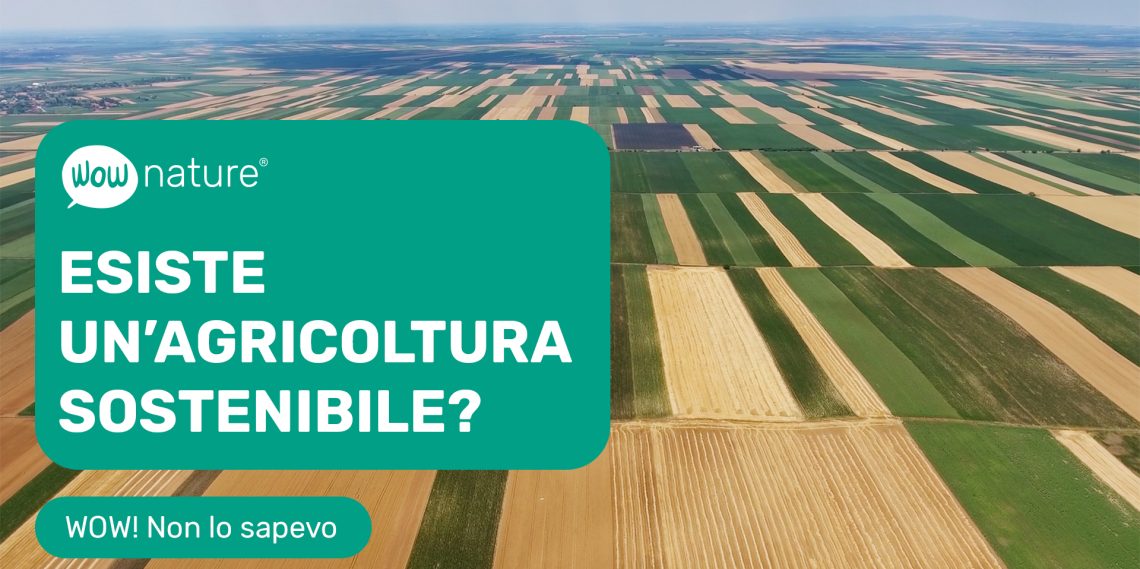 Esiste un'agricoltura sostenibile Agroforesta