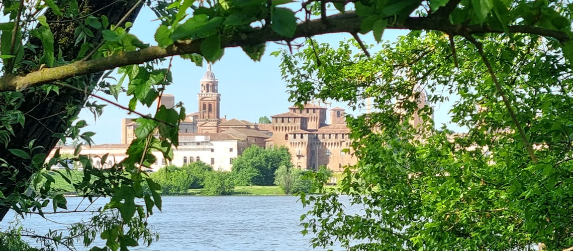 gallery_boscodimantova3